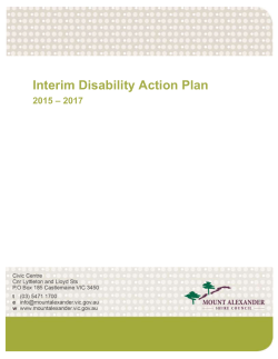 Development of the Interim Disability Action Plan 2015 &ndash; 2017