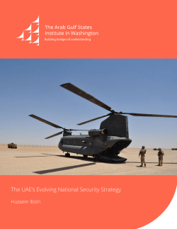 The UAE`s Evolving National Security Strategy