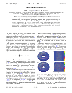 Chimera States on a Flat Torus - Daniel M. Abrams
