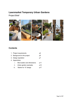 Lawnmarket-Temporary-Urban-Gardens-Project