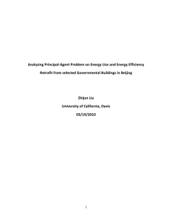 Analyzing Principal-Agent Problem on Energy Use and Energy