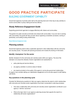 Building Government Capability