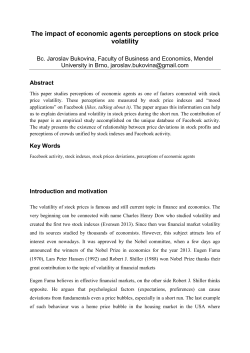 The impact of economic agents perceptions on stock price volatility