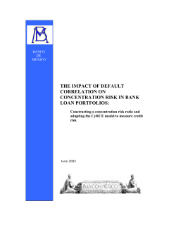 The impact of default correlation on concentration risk in bank loan