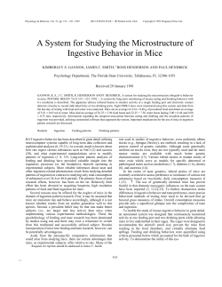 Gannon Smith Henderson Hendrick 1991_A