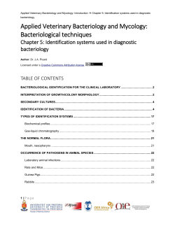 interpretation of growth/colony morphology