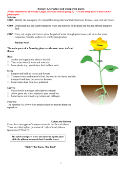 6. Structure and transport in plants