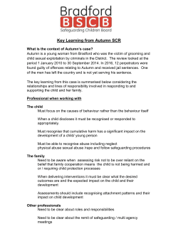 Key Learning from Autumn SCR - Bradford Safeguarding Children