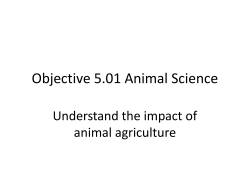 Objective 5.01 Animal Science