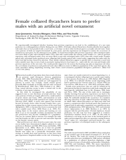 Female collared flycatchers learn to prefer males with an artificial