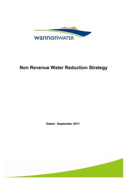 Non Revenue Water Reduction Strategy