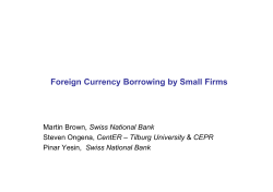 Foreign Currency Borrowing by Small Firms