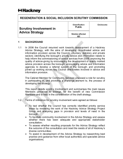 advice strategy 07/08