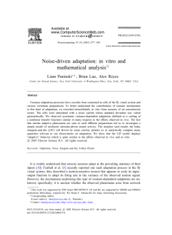 Noise-driven adaptation: in vitro and mathematical analysis