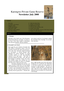 Karongwe Private Game Reserve