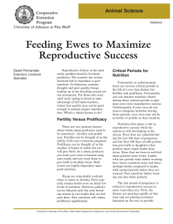 Feeding Ewes to Maximize Reproductive Success