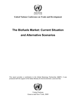 The Biofuels Market: Current Situation and Alternative