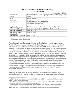 project information document (pid)