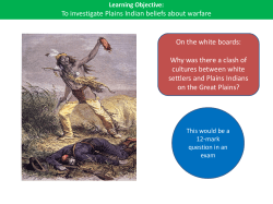 Plains Indians beliefs about Warfare