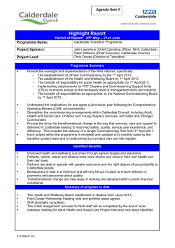 Template 4 - Highlight Report