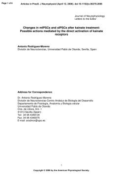 Changes in mIPSCs and sIPSCs after kainate treatment: Possible