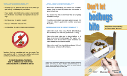 Flyer `Don`t let the bedbugs bite`