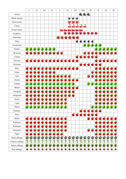 I II III IV V VI VII VIII IX X XI XI Aronia Black currant Red