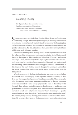 Cleaning Theory - The Southern Review