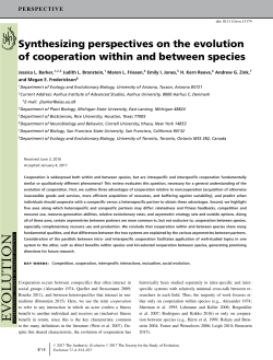 Synthesizing perspectives on the evolution of cooperation within