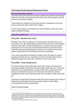 Policy Pr&eacute;cis: Draft Central Area Development Management