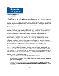 The Blueprint for Safety Coordinates Response to Domestic Violence
