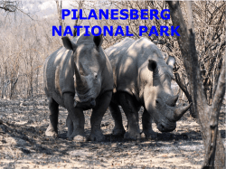 pilanesberg national park