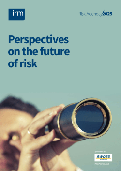 Perspectives on the future of risk