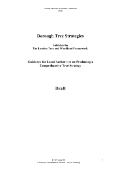 Comprehensive Tree Strategy Guidance 1st Draft