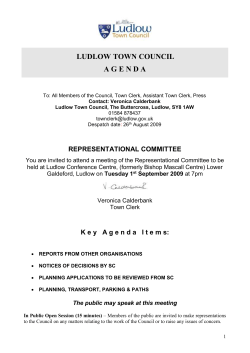 Members of the Council, Directors, Heads of Service, Committee