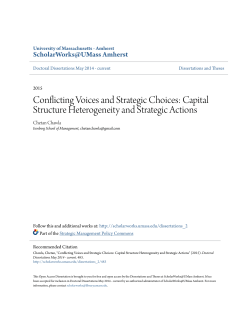 Conflicting Voices and Strategic Choices: Capital Structure