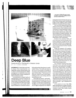 Deep Blue - Lisa M. Bolt Simons