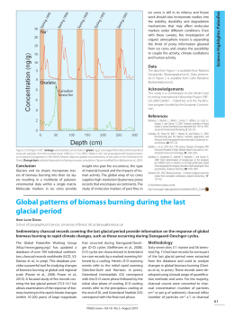 Global patterns of biomass burning during the last glacial period