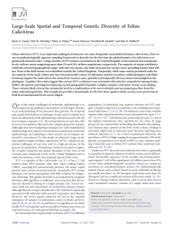 Large-Scale Spatial and Temporal Genetic Diversity of Feline