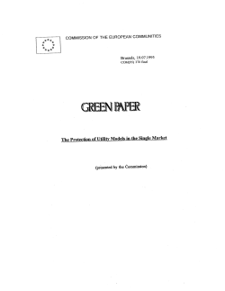 Green Paper on Protection of Utility Models in the Single Market, 19