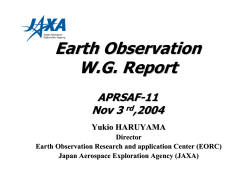 Earth Observation WG Report