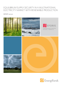 equilibrium supply security in a multinational electricity market with