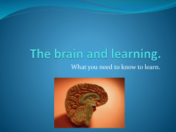 The brain and learning.