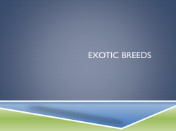 Exotic Breeds - jefferson co ffa