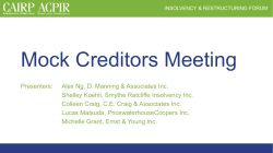 03 Mock Creditors Meeting