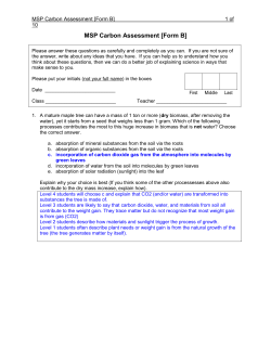 MSP Carbon Assessment [Form B]