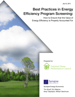 Best Practices in Energy Efficiency Program Screening