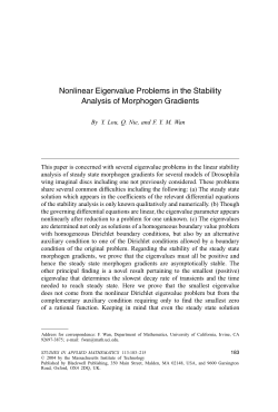 Nonlinear Eigenvalue Problems in the Stability Analysis