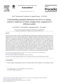 Understanding Marginal Abatement Cost Curves in Energy