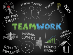 IE Summit 2015 - College of the Redwoods Home